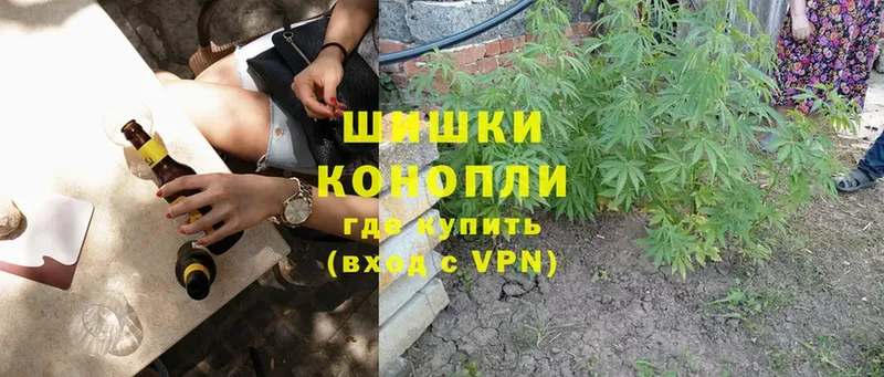 купить наркотик  Собинка  Каннабис White Widow 